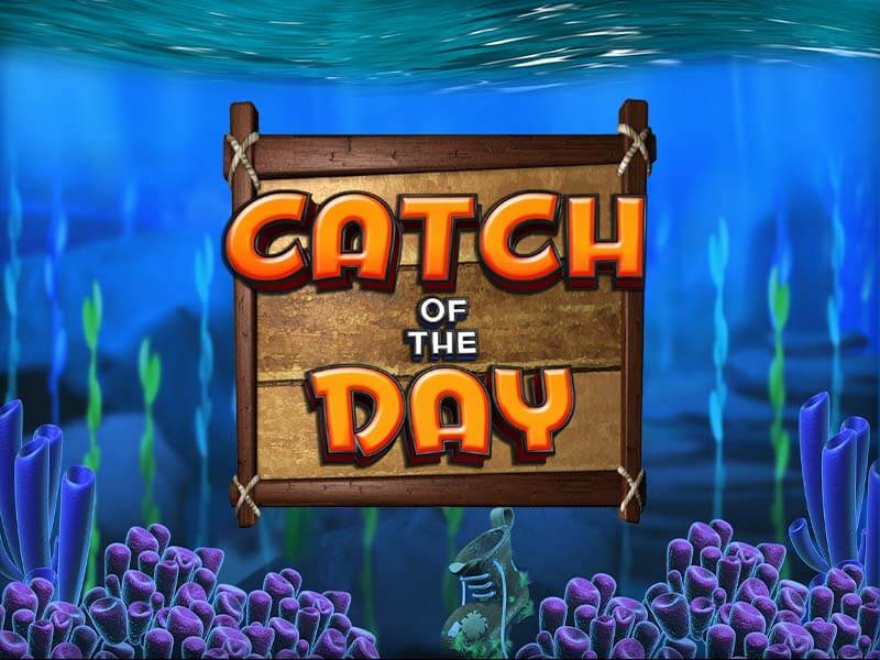 Imagem do jogo Catch of the Day